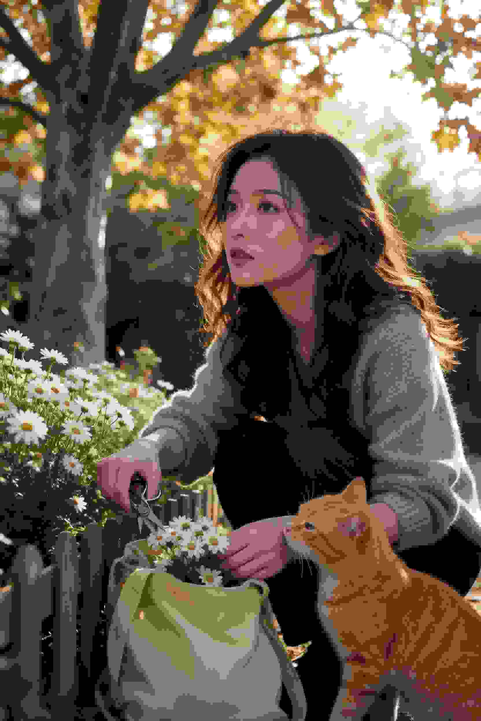 热血作品